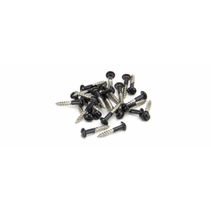Black SS 3.5 x 20  Roundhead Screws (25)