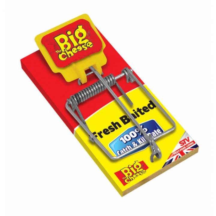 BIG CHEESE FRESH BAITED MOUSE TRAP