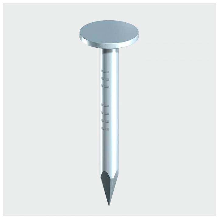 0.5KG ELH CLOUT NAILS GALV
