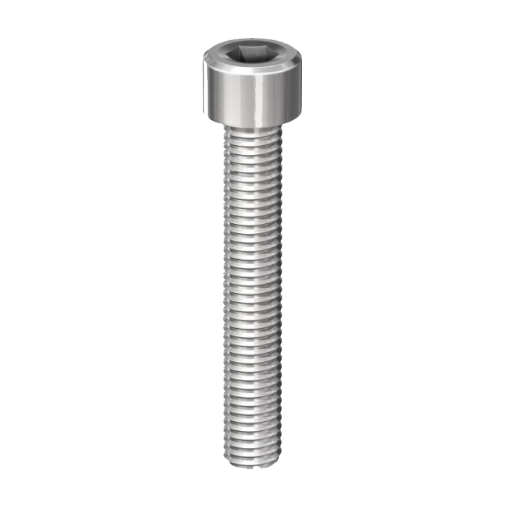 STAINLESS SOCKET SCREW CAP M5X20 PK.10