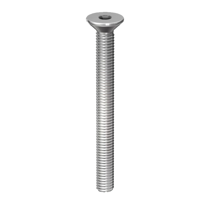 STAINLESS SOCKET SCREW C/S M6X25 PK.10