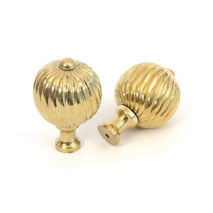 Polished Brass Spiral Cabinet Knob - Large