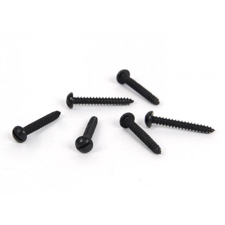 Black 6 x 1inch Round Head Screws (25)