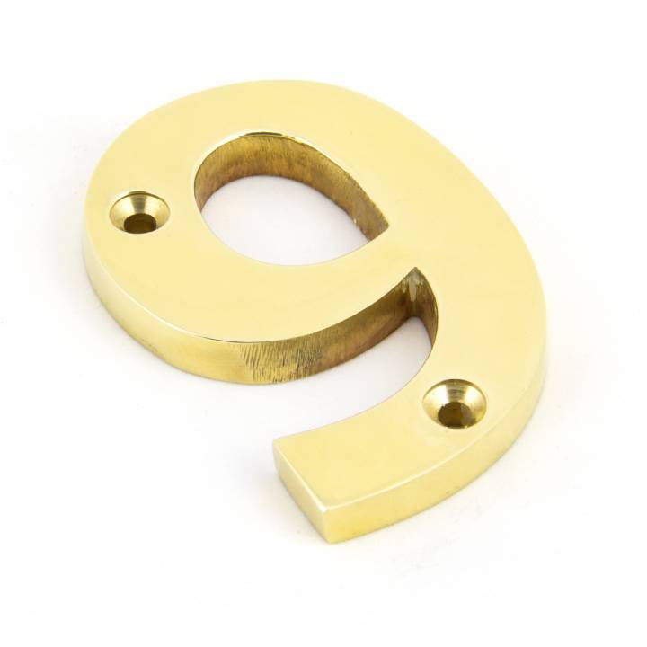 Polished Brass Numeral 9