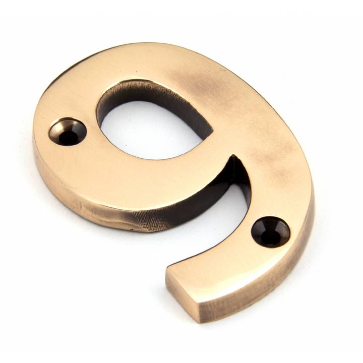 Polished Bronze Numeral 9