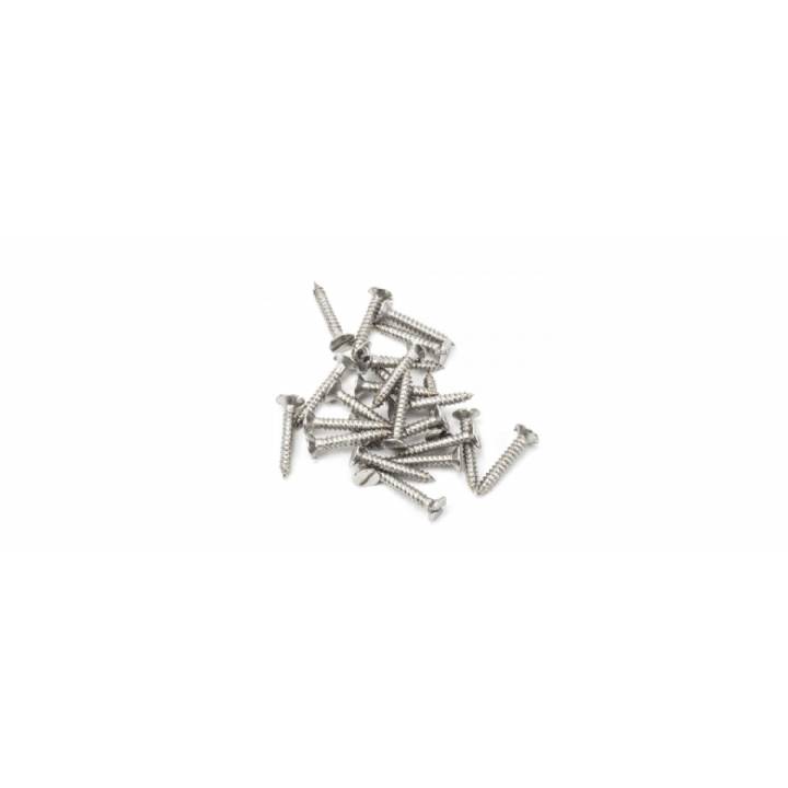 Stainless Steel 4xï¿½ Countersunk Screw (25)