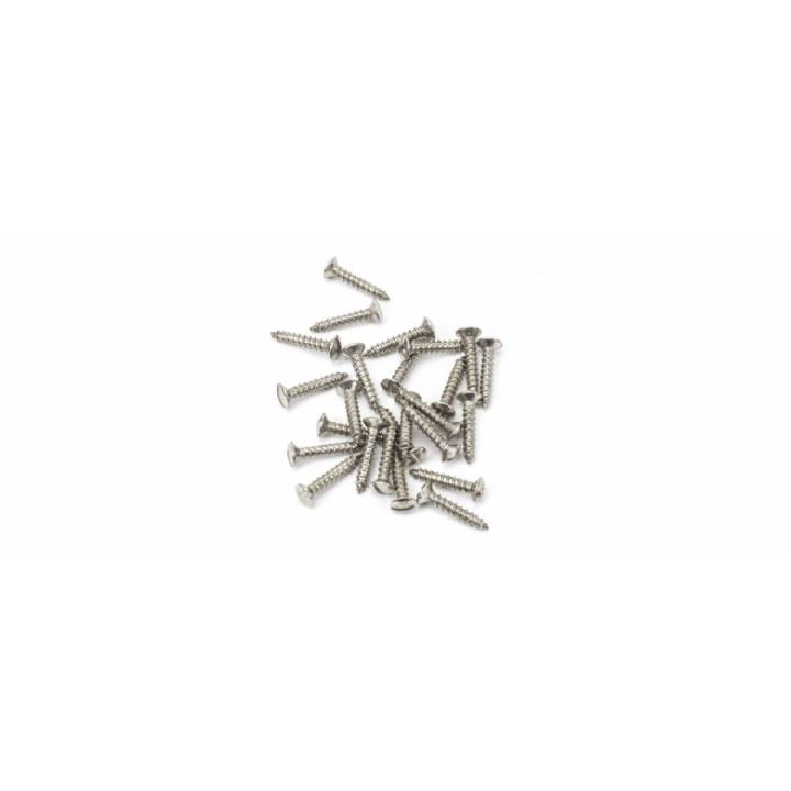 Stainless Steel 6x½ Countersunk Raised Head Screw (25)