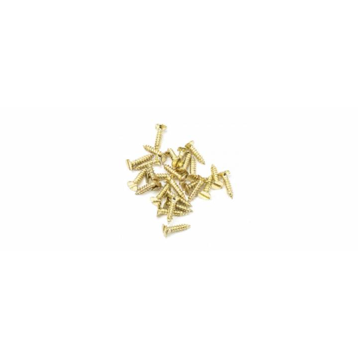 Polished Brass SS 4xï¿½ Countersunk Screw (25)