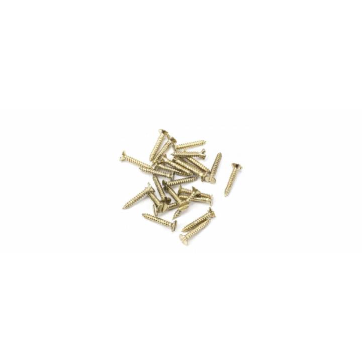 Polished Brass SS 4x¾