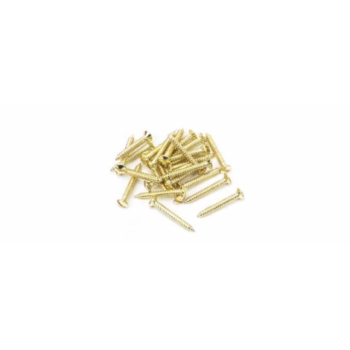 Polished Brass SS 8x1½ Countersunk Raised Head Screw (25)