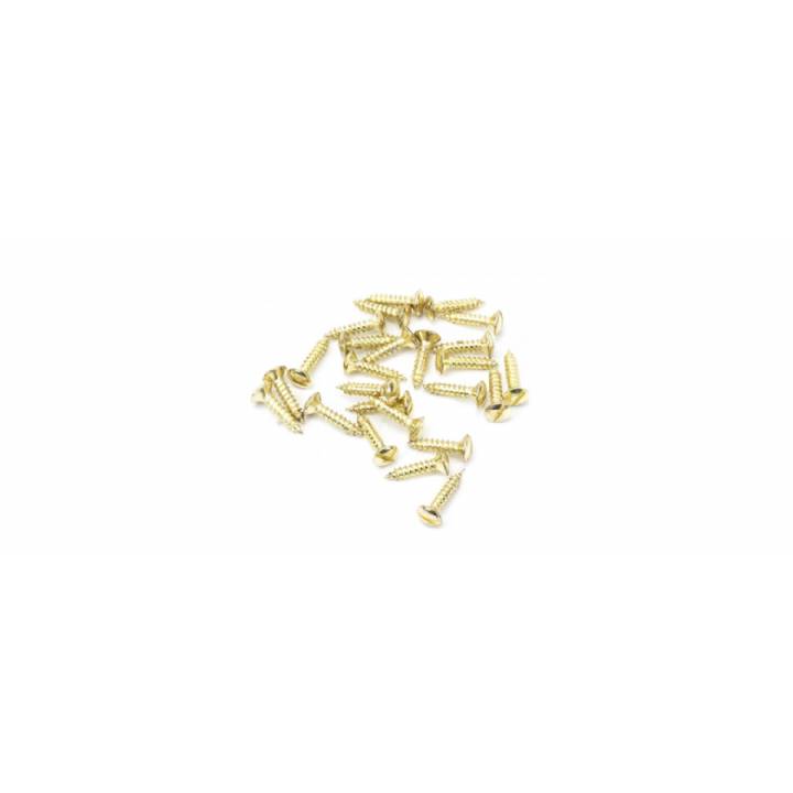 Polished Brass SS 8x½ Countersunk Raised Head Screw (25)