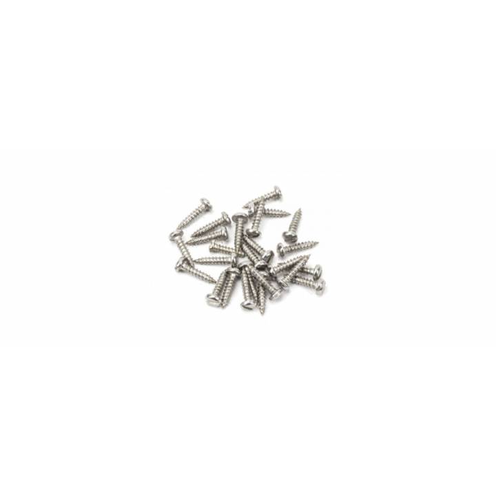 Stainless Steel 4xï¿½ Round Head Screw (25)