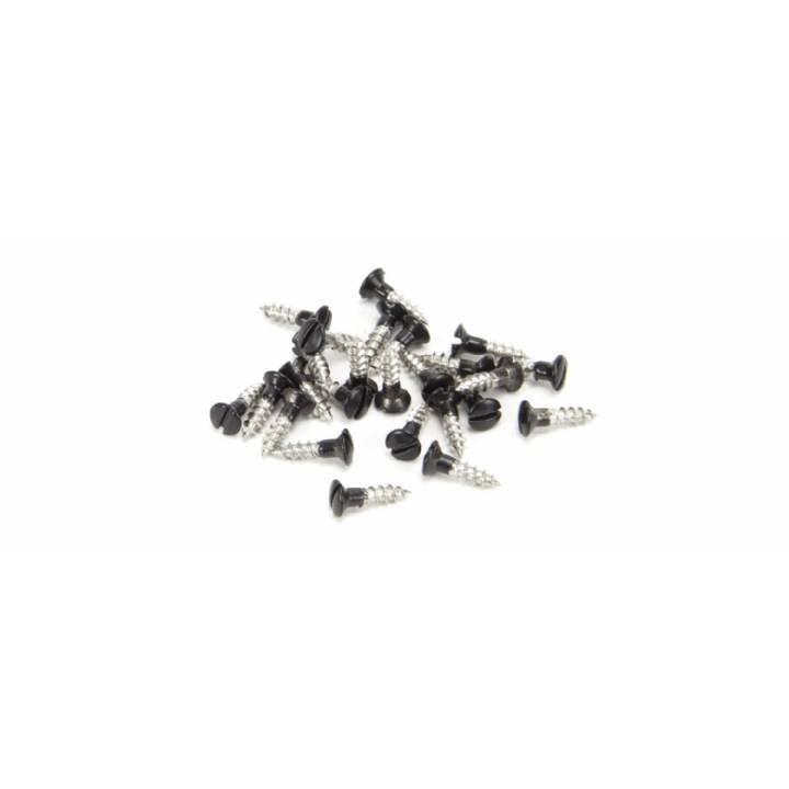 Black SS 3.0 x 12 Csk R/Head Screws (25)