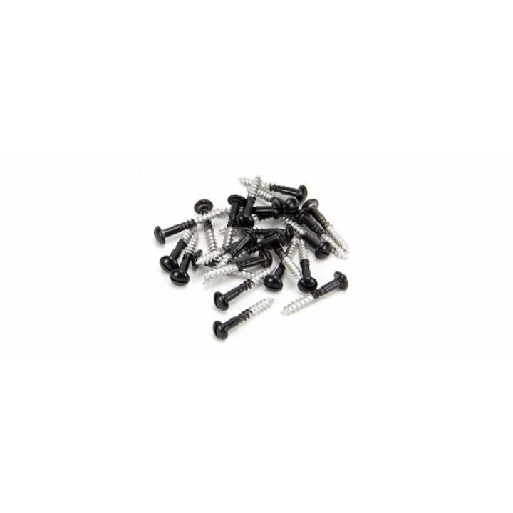 Black SS 3.5 x 25  Roundhead Screws (25)