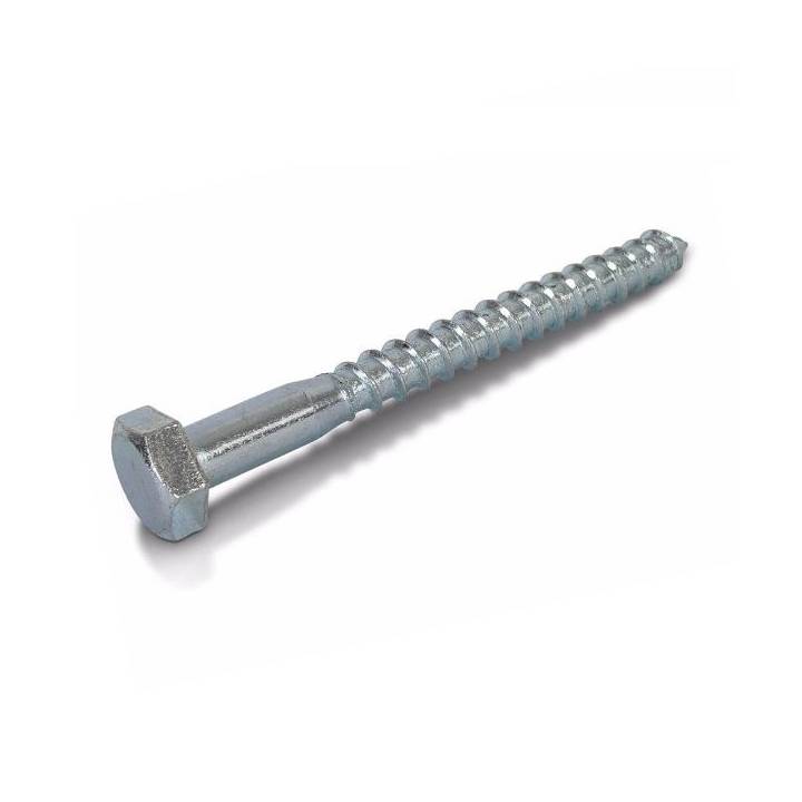 M16 COACH SCREWS