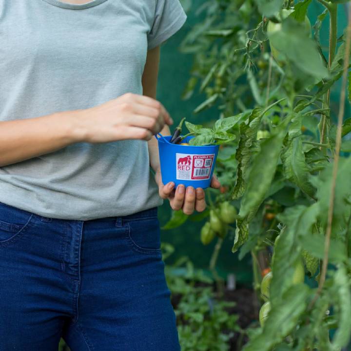 GORILLA MICRO TUB BLUE